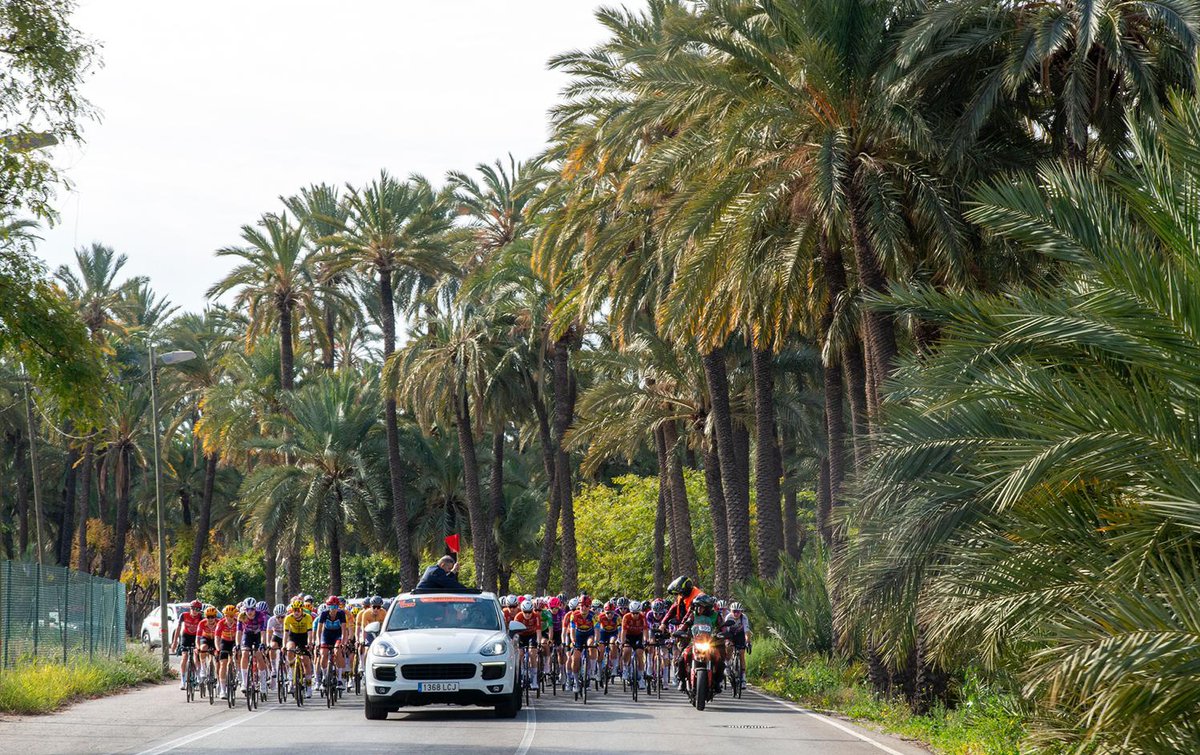 Setmana Ciclista - Volta Femenina de la CV (@setmanaciclista) on Twitter photo 🖼️ 𝐄𝐥 𝐜𝐮𝐚𝐝𝐫𝐨 𝐝𝐞 𝐥𝐚 𝐞𝐭𝐚𝐩𝐚 4️⃣
🌴 ELX / 💚 <a href="/ajuntamentelx/">Ayuntamiento de Elche - Ajuntament d'Elx</a>
📸🎨 <a href="/luivil77/">Luis Villacañas fotografía deportiva</a> / AR
🧡 #SetmanaCiclista 🖼️ 𝐄𝐥 𝐜𝐮𝐚𝐝𝐫𝐨 𝐝𝐞 𝐥𝐚 𝐞𝐭𝐚𝐩𝐚 4️⃣
🌴 ELX / 💚 <a href="/ajuntamentelx/">Ayuntamiento de Elche - Ajuntament d'Elx</a>
📸🎨 <a href="/luivil77/">Luis Villacañas fotografía deportiva</a> / AR
🧡 #SetmanaCiclista