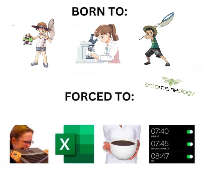 Sometimes that’s the way it is