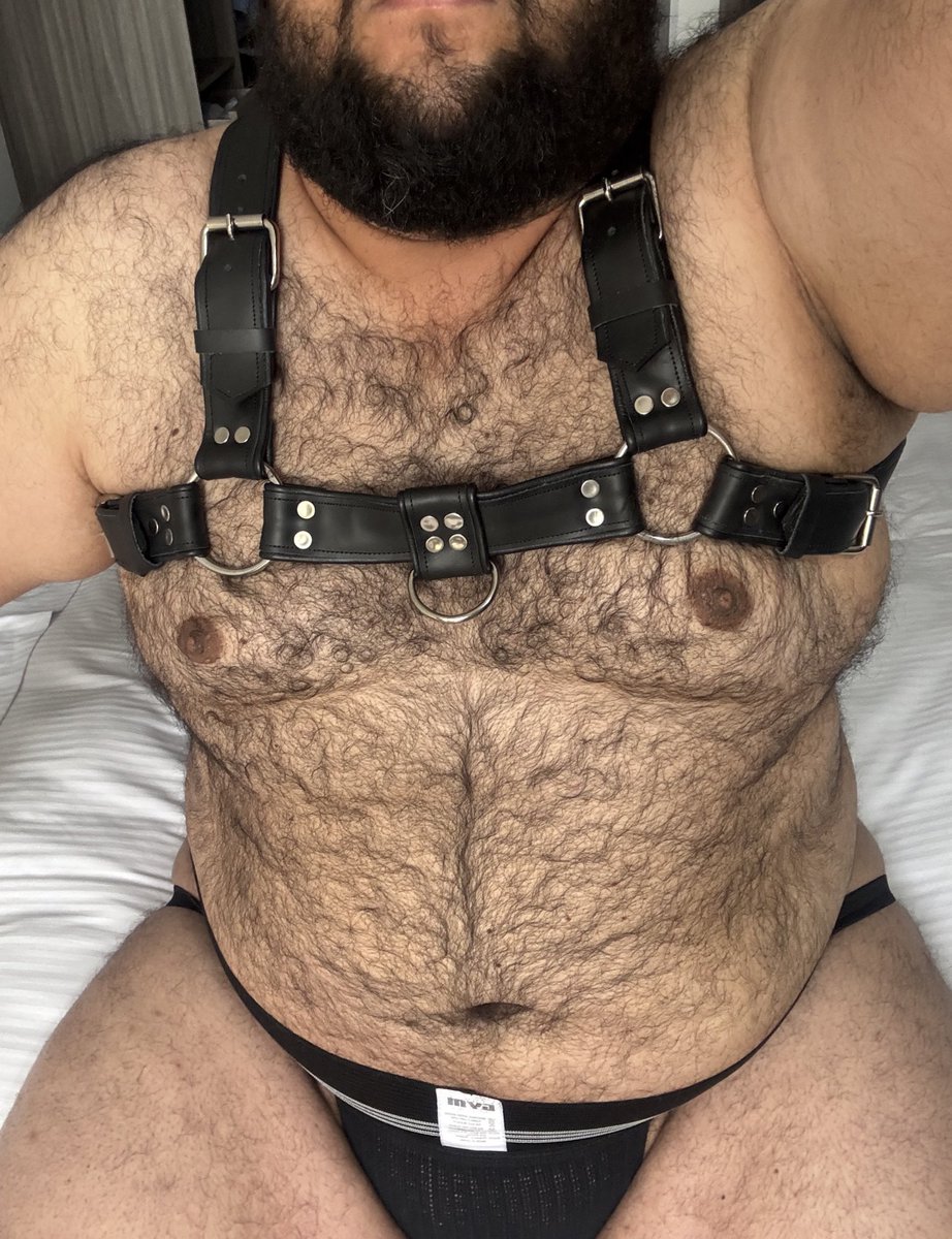 Domingo en casa !!!! 
#oso #bearcolombia