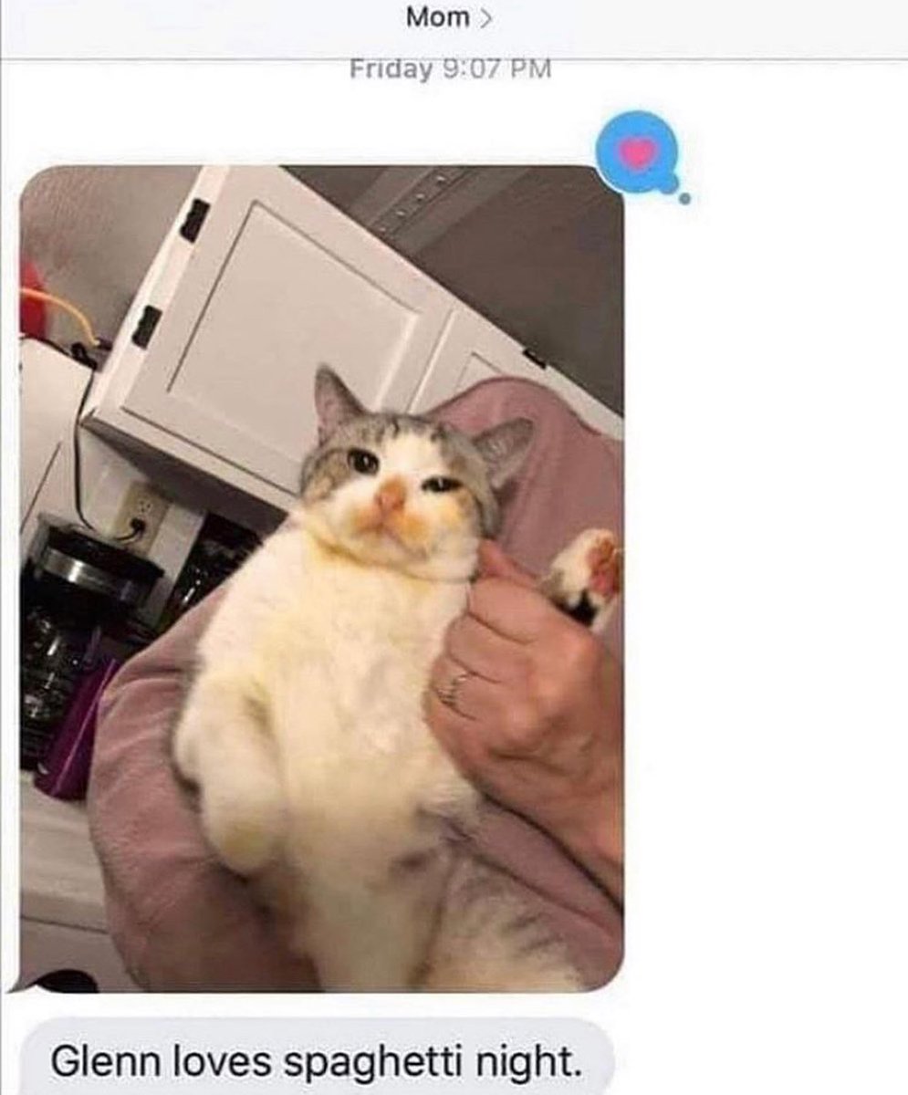 Punch Cat tweet media