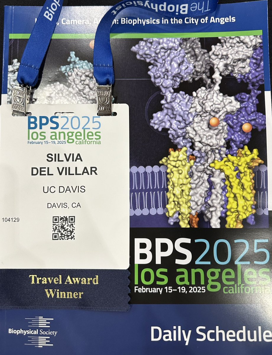 Silvia G. del Villar (@silviagarciadel) on Twitter photo Enjoying great science and discussions at #BPS2025 in LA! Exciting talks and new ideas in biophysics. #Biophysics #Science <a href="/MaartjeWesthoff/">Maartje Westhoff</a> Enjoying great science and discussions at #BPS2025 in LA! Exciting talks and new ideas in biophysics. #Biophysics #Science <a href="/MaartjeWesthoff/">Maartje Westhoff</a>