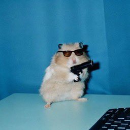 Motion currently at zero 

I have nothing to lose 

but this hamster now 

3y1WL5AfCpu4qK8gZrF8ciGpssPocTXCXmttuDeVpump