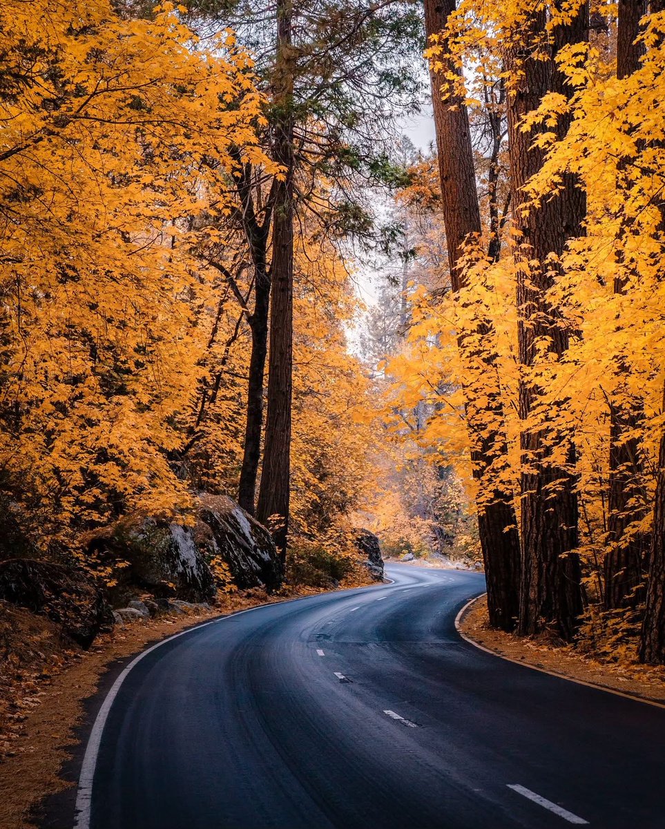 H (@h123456789far) on Twitter photo 