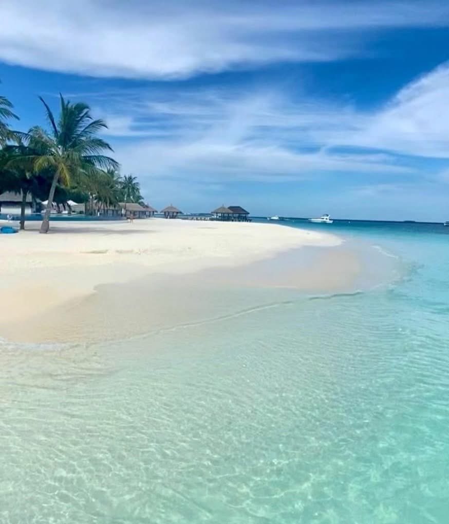 H (@h123456789far) on Twitter photo 