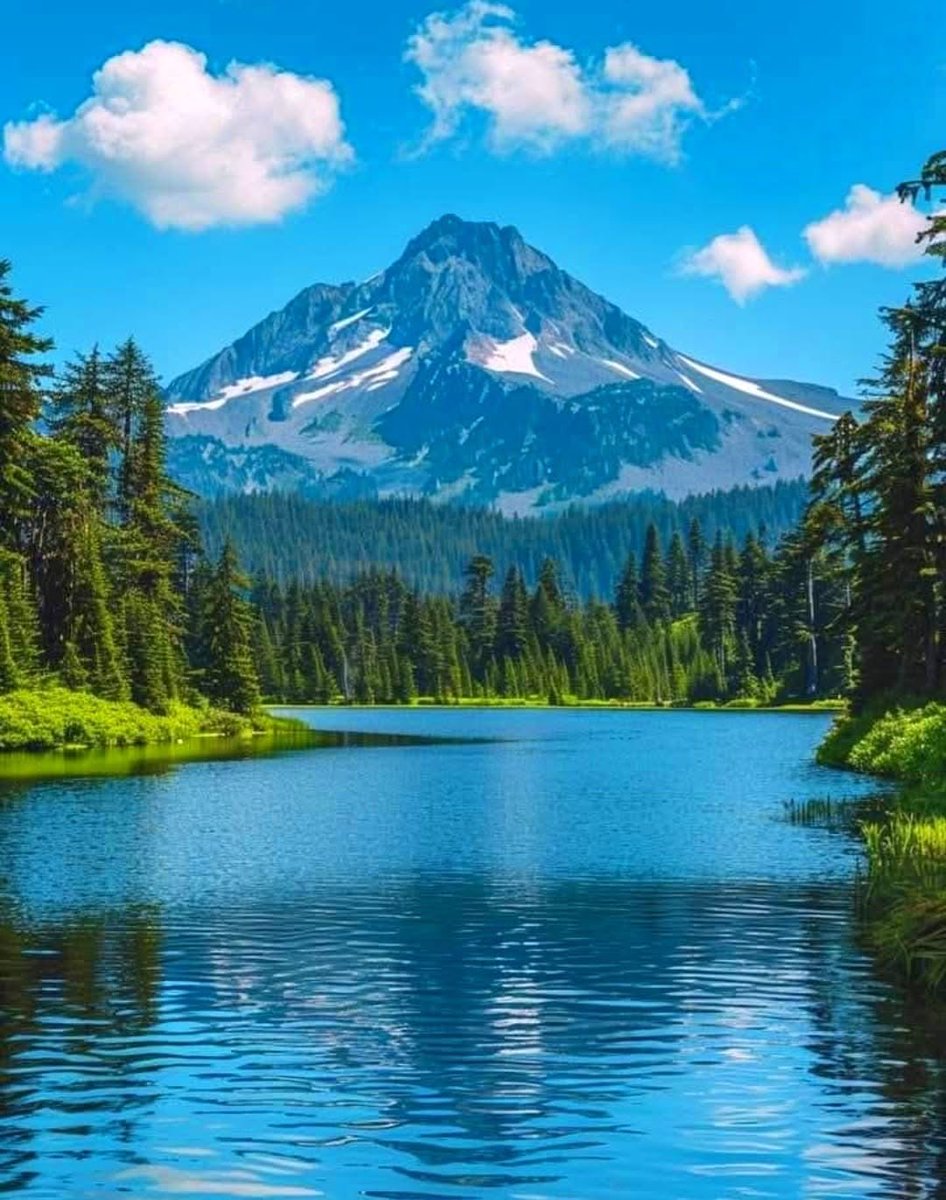 H (@h123456789far) on Twitter photo 