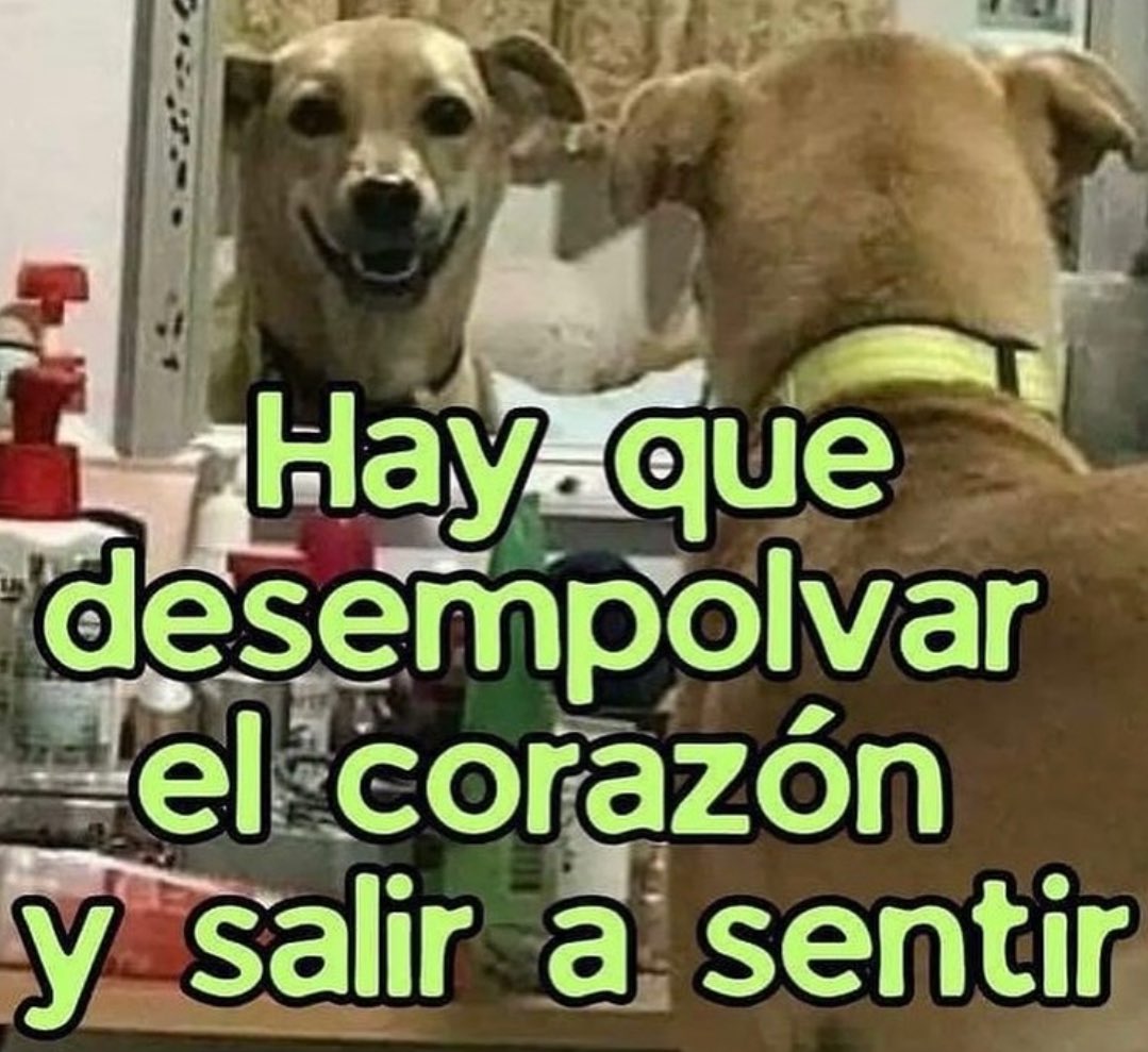 conoloracigarro's tweet photo. https://t.co/oM4YODKstR