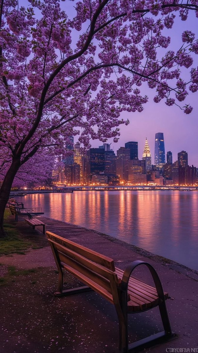 H (@h123456789far) on Twitter photo 