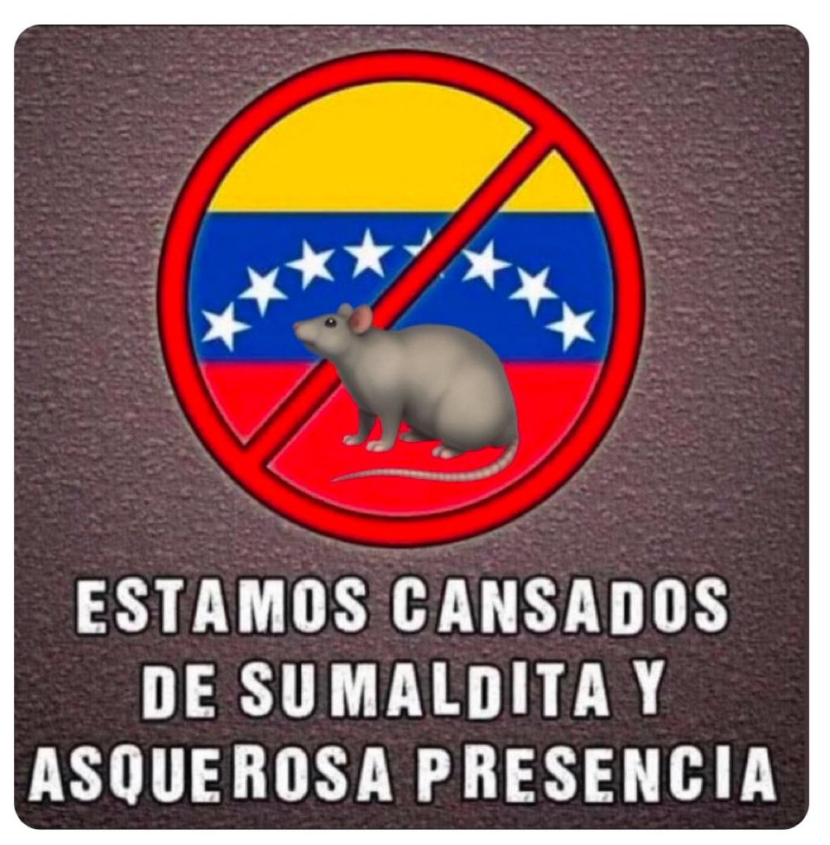 #cadem El 98% de los chilenos quiere que se vayan todos los venezolanos del país , y piensan que solo han traído muerte , secuestros , prostitucion , frituras , ruidos , droga , armas y malas costumbres. Además son hediondos .