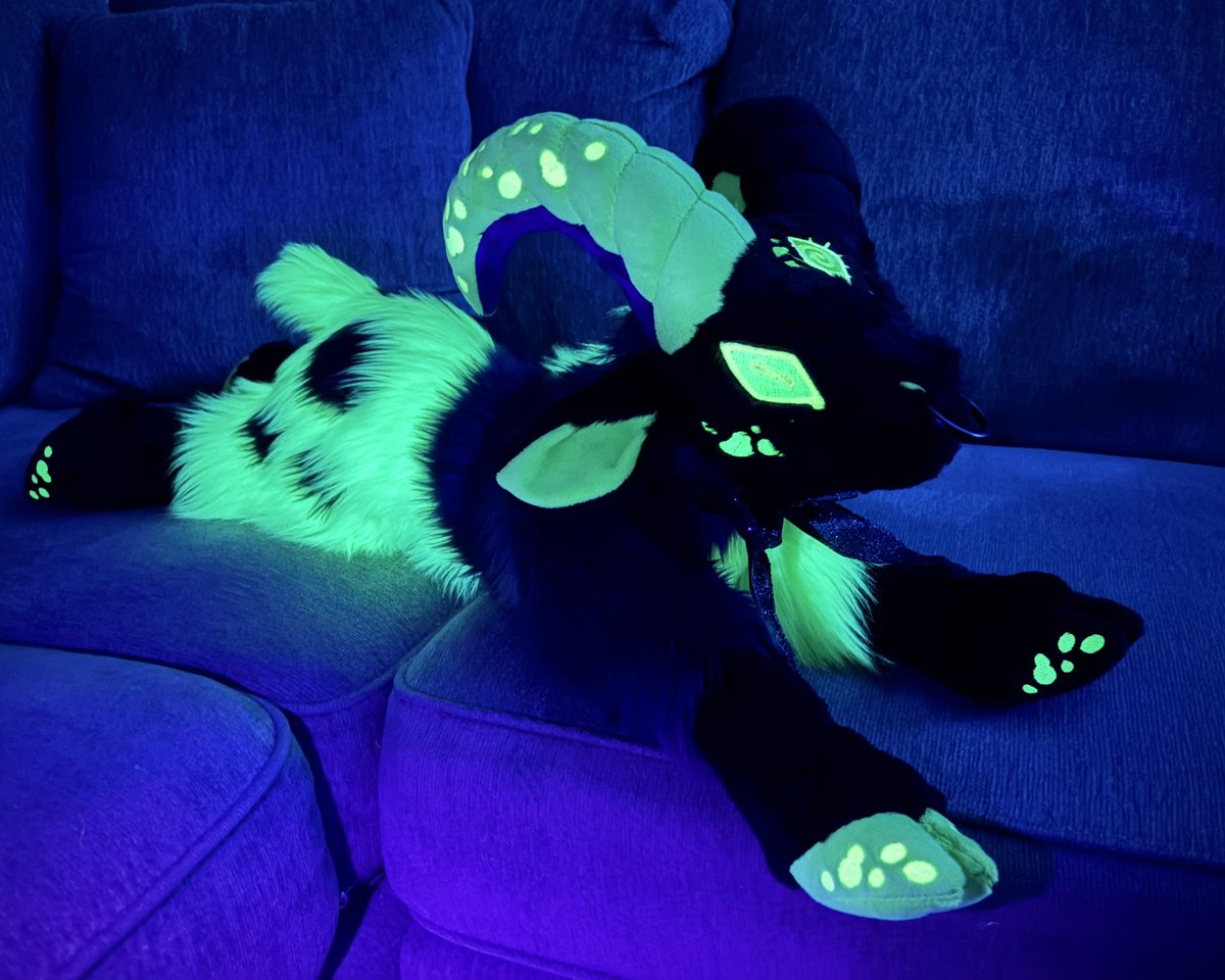 CirquellCurios's tweet photo. Today at 5pm pst bidding for this glowing fairy fire fungi goat will close! 💚✨

Full info at the 🔗 in our bio! https://t.co/2Ds07OPI1Z