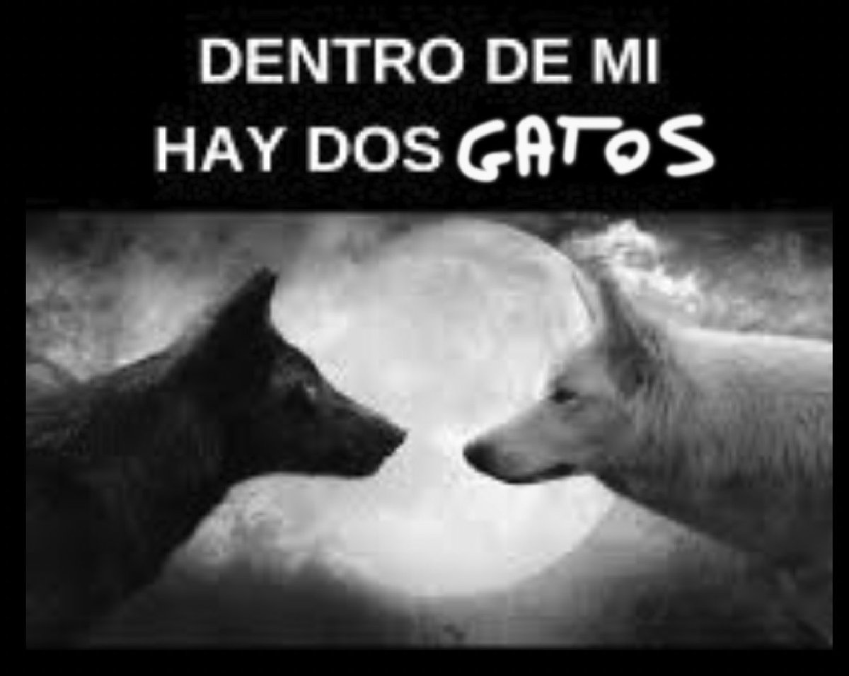 kickespanol's tweet photo. @shitpostspreen @Rubiu5 https://t.co/UyF62ouuDD