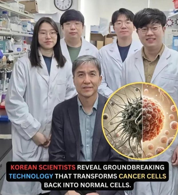 UchePOkoye's tweet photo. Korean researchers developed a new technology to treat cancer cells by reverting them to normal cells without killing them.

If this works, it will be the highest human innovation in 21st century. https://t.co/zpnGmAiOXp