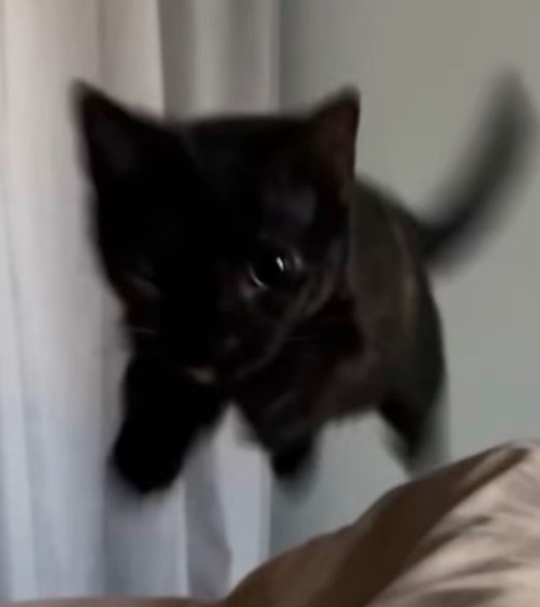 blackscats's tweet photo. https://t.co/qzE25RFYkT