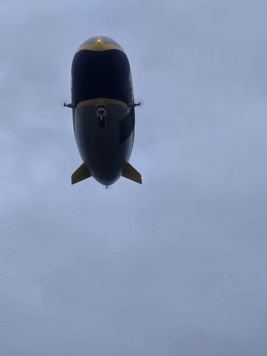 Eric D. Zimmerman tweet media