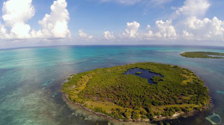 🏝️ Un paraíso oculto frente a la costa de Quintana Roo. Banco Chinchorro es el segundo arrecife más grande del mundo y hogar de más de 60 barcos hundidos, algunos con más de 300 años de historia. ⚓ <a href="/robpalazuelos/">Roberto Palazuelos</a>