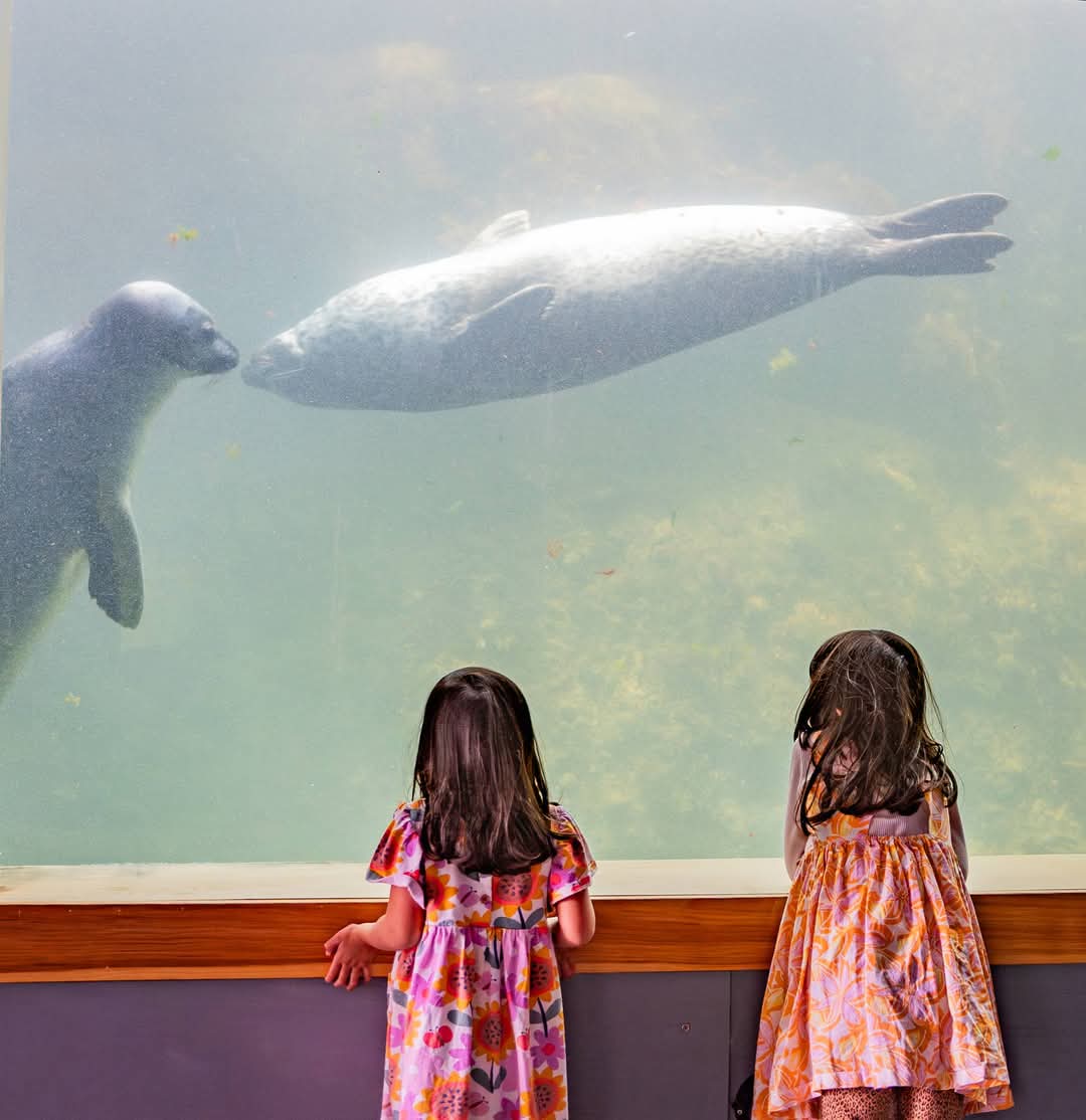 MARCH BREAK will be here soon and the FUN-dy Discovery Aquarium will be OPEN DAILY MARCH 1 - 9 from 10:00 am to 5:00 pm!

We have two BIRTHDAY PARTIES planned to celebrate Deane &amp; Tyler on SATURDAY MARCH 1 and SATURDAY March 8 - our two resident harp seals!