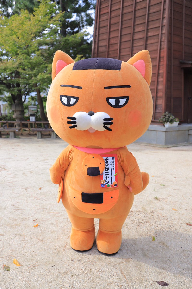 おはよニャーン🌲ฅ(ↀᴥↀ)ฅ🍘 今週も元気にマイペースでよろしく