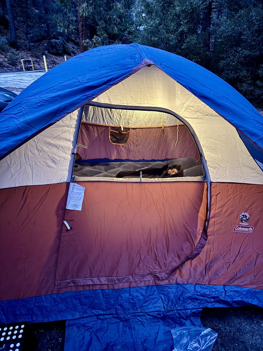 camping was a vibe ✨