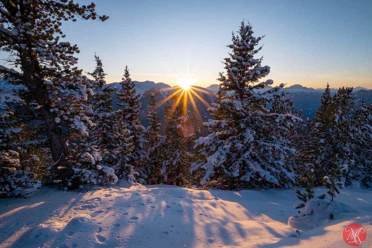 Beautiful winter in the Rockies. 

#yeg #alberta #rockies #winter #nature #landscape #landscapephotography #naturephotography