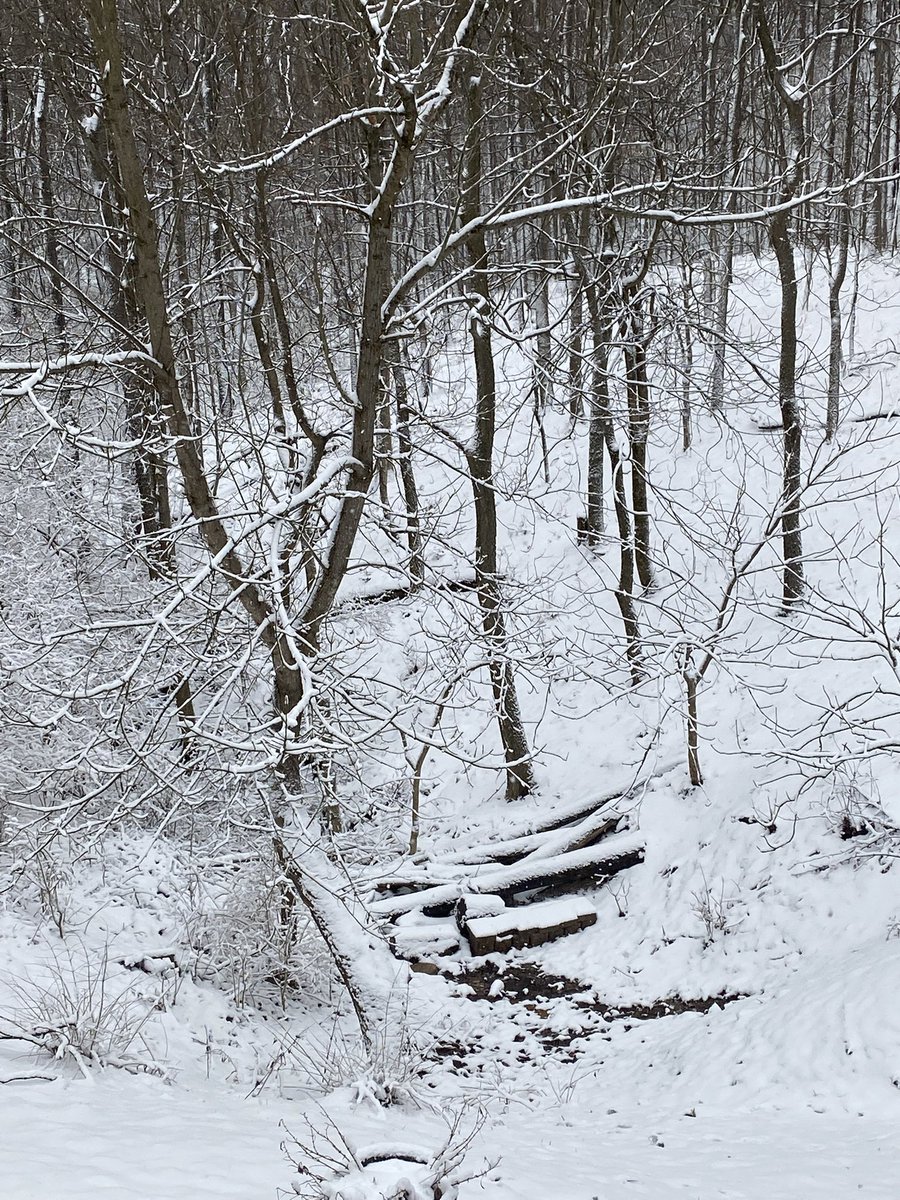 Beth Testa tweet media