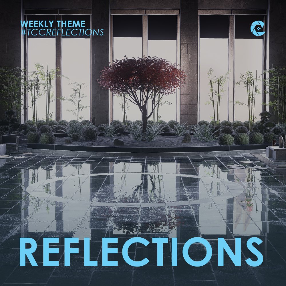 The Captured Collective tweet media