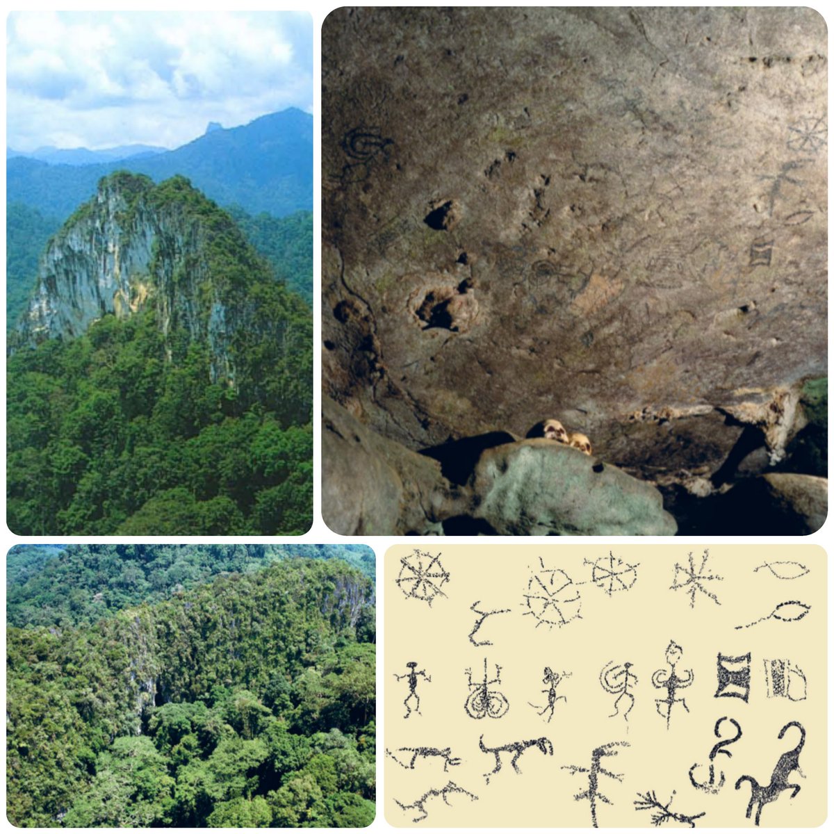 Serangkaian utas gambar cadas lima hari terakhir intinya ingin mengapreasiasi para pemandu yang namanya diabadikan sebagai nama gua (masih ada beberapa yang belum dibahas). 

Bagaimana ceritanya peneliti Perancis memulai pencarian gambar cadas di karst Sangkulirang-Mangkalihat?