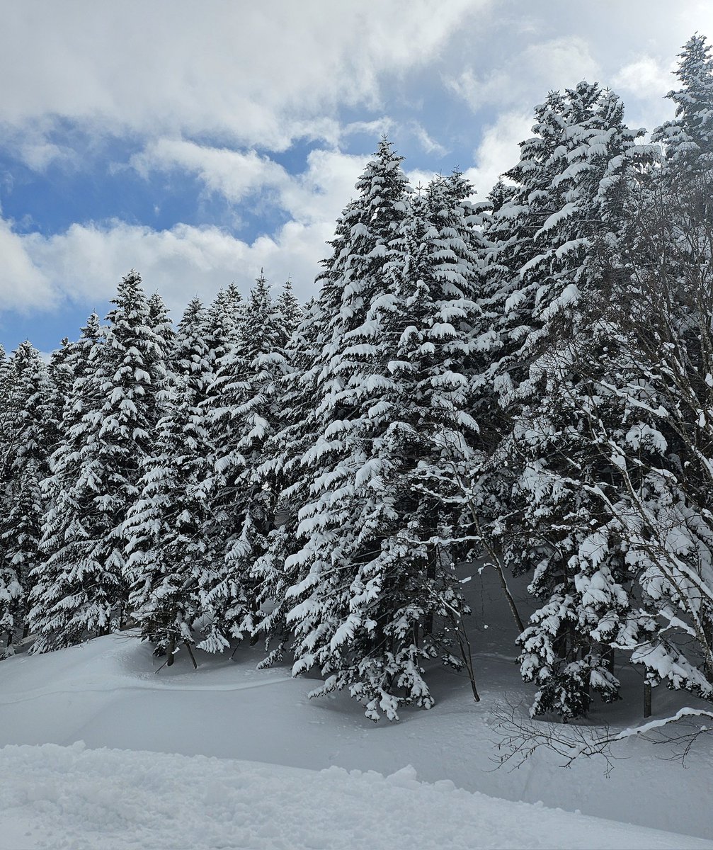 Forever missing Japan 💕