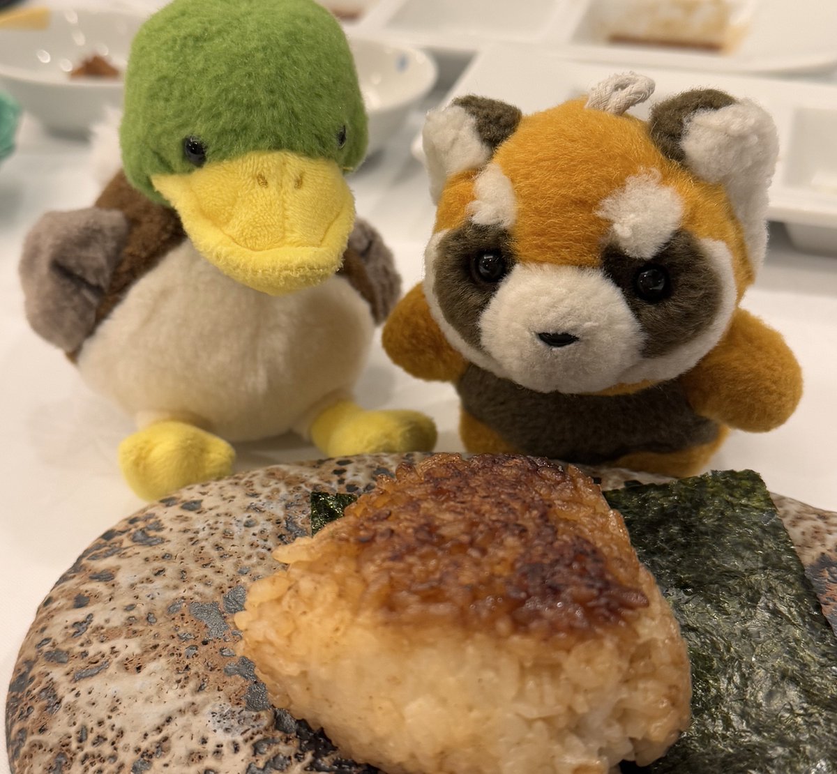 gogo_hammer's tweet photo. 大きいおにぎりﾊﾝﾏｧ～( ╹ (ᴥ)╹)

🦆ｸｧ… https://t.co/JbiYtRC3ie