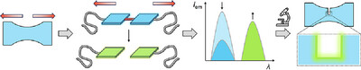 AggregateOA's tweet photo. Early View💡
"Optical Force Probes for Spatially Resolved Imaging of #Polymer Damage and Failure" by Robert Göstl et al. @Wiley_Chemistry #OFPs #mechanochemistry

Check👉https://t.co/YjpQzIfQnk https://t.co/7AaGSryiWU