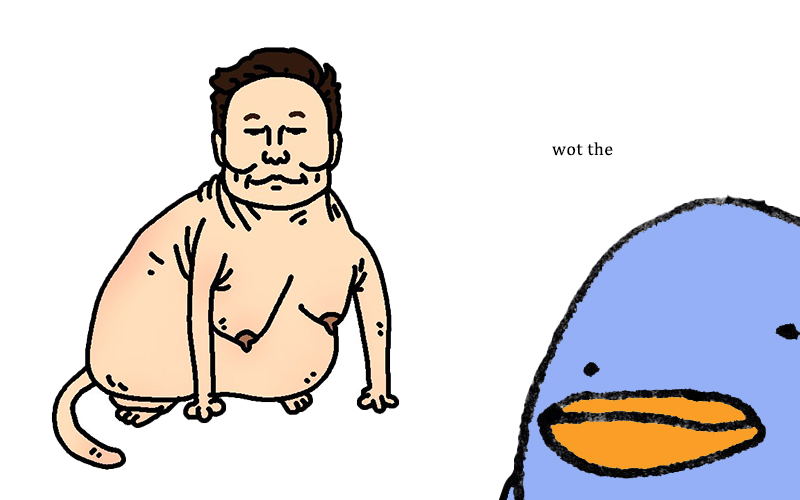 wob tweet media