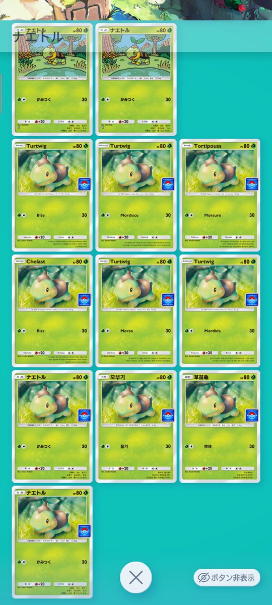 Miyu_Mifune0225's tweet photo. プロモナエトル
9ヶ国語制覇！
長かった……

#ポケポケ
#ナエトル
#Turtwig
#Tortipouss 
#Chelast 
#모부기
#草苗龜 https://t.co/lXphNYk3H5
