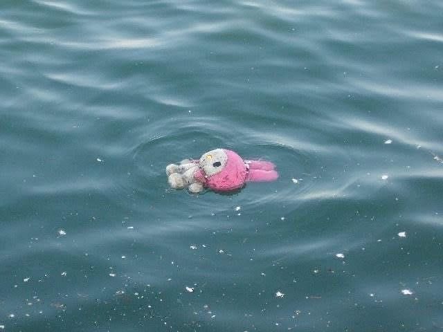 “What are you doing for your birthday?”

Pisces: