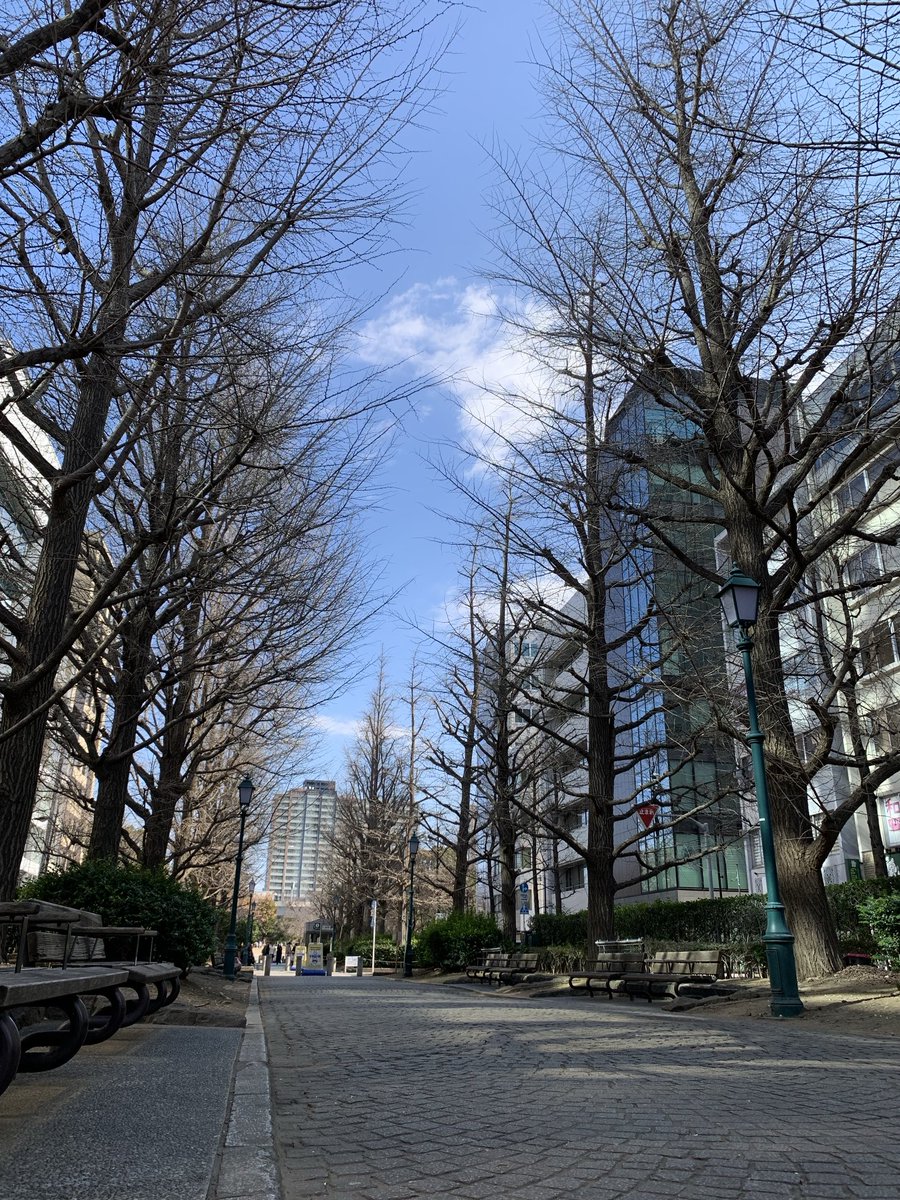 At3hrU's tweet photo. ☀️ #Nihombashi #Hamacho #Meijiza mae #日本橋浜町 https://t.co/WvvKAvnC0R
