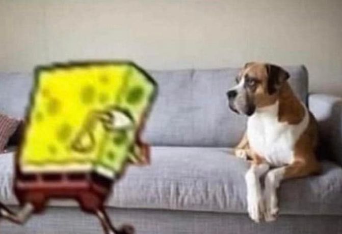 Yo yendo a abrazar a mi perro por décima vez