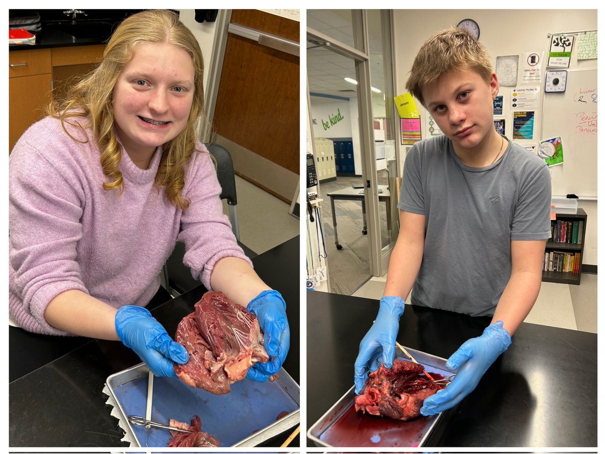Mr. Jensen's 7th grade Life Science class did some "hands on" learning today exploring the heart anatomy of deer hearts. What a cool activity! #themiddlematters #science