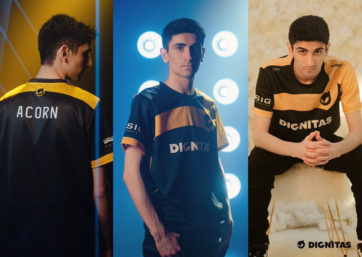Dignitas tweet media
