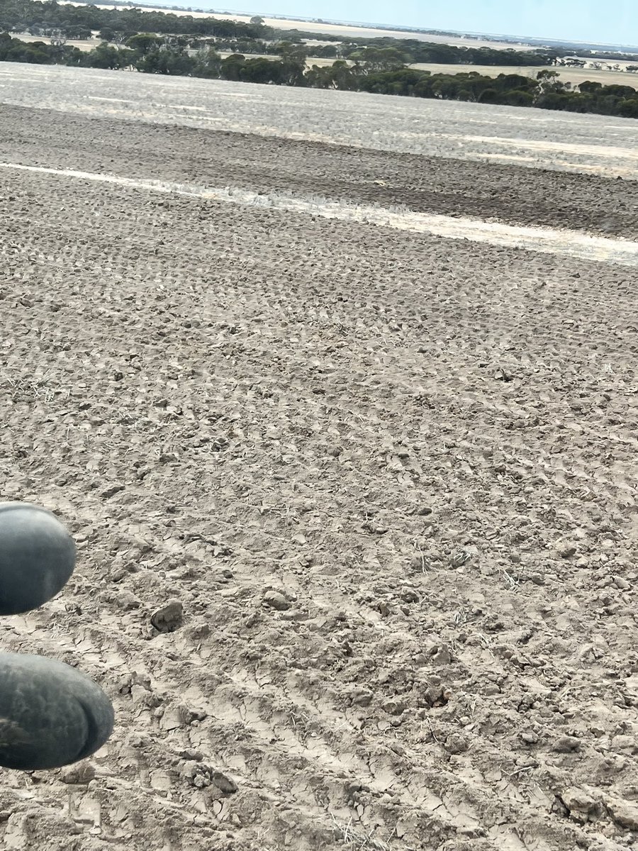 dingo71113's tweet image. Spading is about to start and we are looking for some spading interest in the Yorke peninsula area and surrounds.
Possibly coming over in march. Located western vic. Will be travelling to pinnaroo area and also Hopetoun if anyone is interested. Anymore info call 0411782853