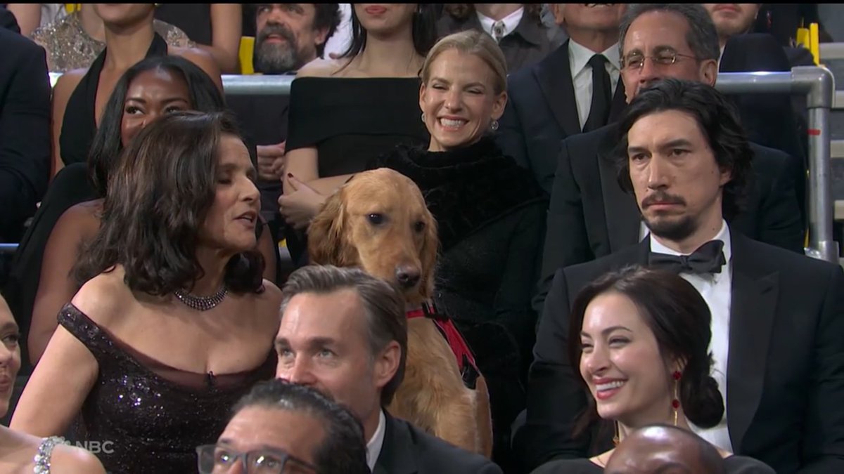 adam driver surprise