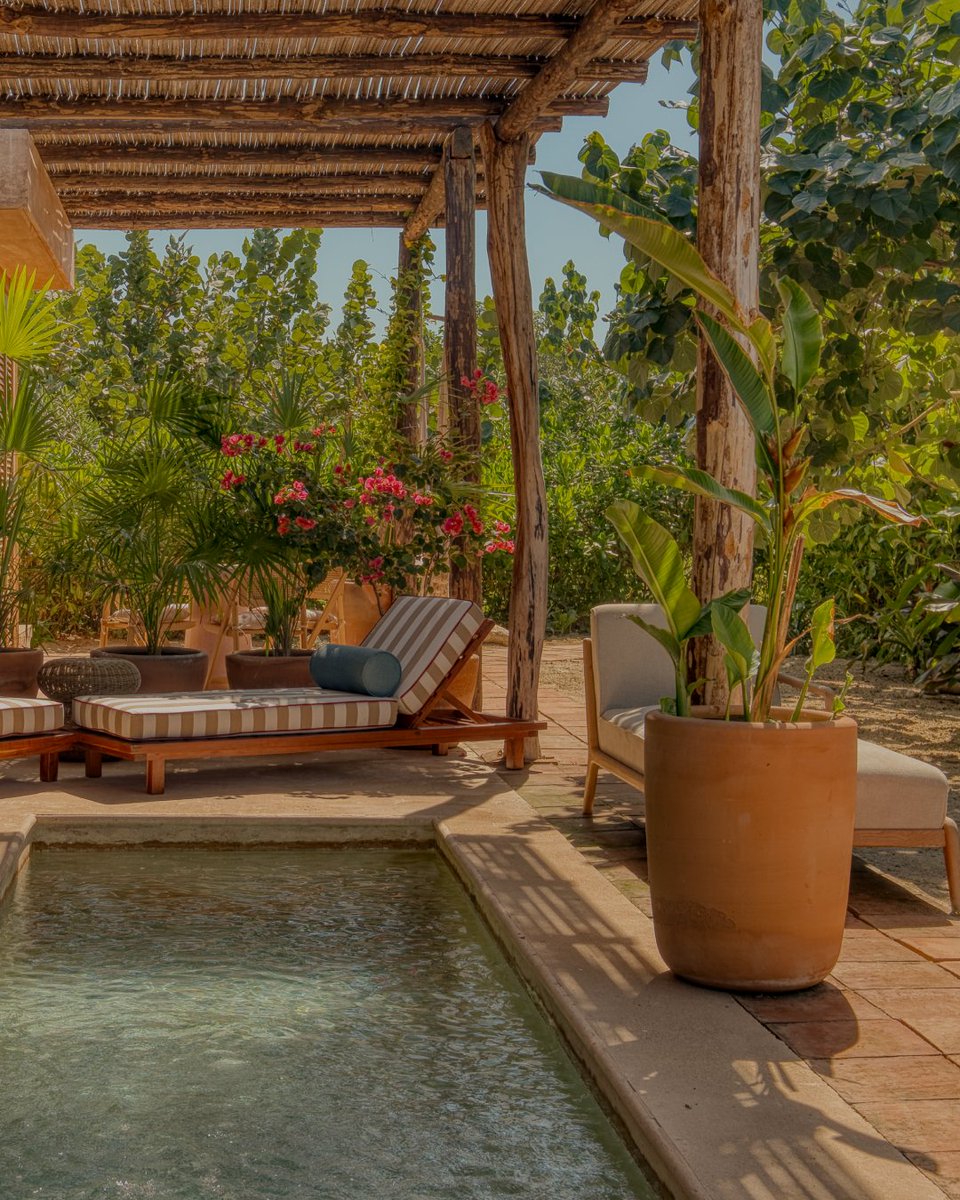 NayaHomes's tweet photo. 🌵 A sneak peek at Naya Homes in... Puerto Escondido! 🌊 Naya Homes guests can now escape to the award-winning beachside casita, Mazul, on the serene Oaxacan coast. 🟢 Now available for bookings: https://t.co/J8W0sVAtoT #puertoescondido #mazul #nayahomes #oaxaca https://t.co/bqN0D6qHXw