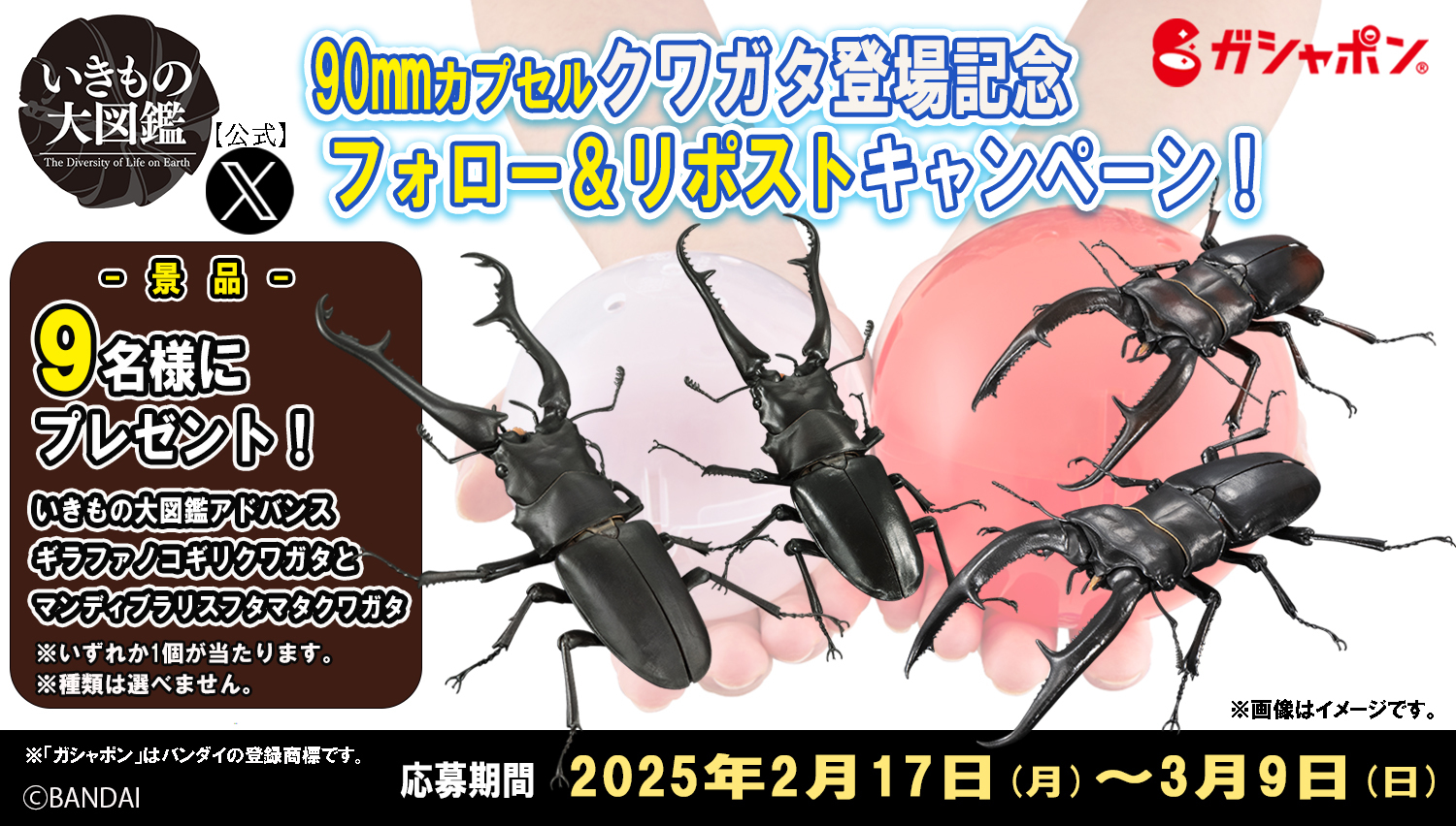 いきもの大図鑑プレミアムヘラクレス&ギラファノコギリクワガタセット