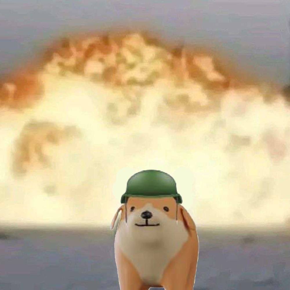 <a href="/henokcrypto/">Henok</a> Study $TOM the trench warrior dog 

q3PDhqSREW83XecqRETTupkRcGnicEtZpUVjPJ6w3Ek