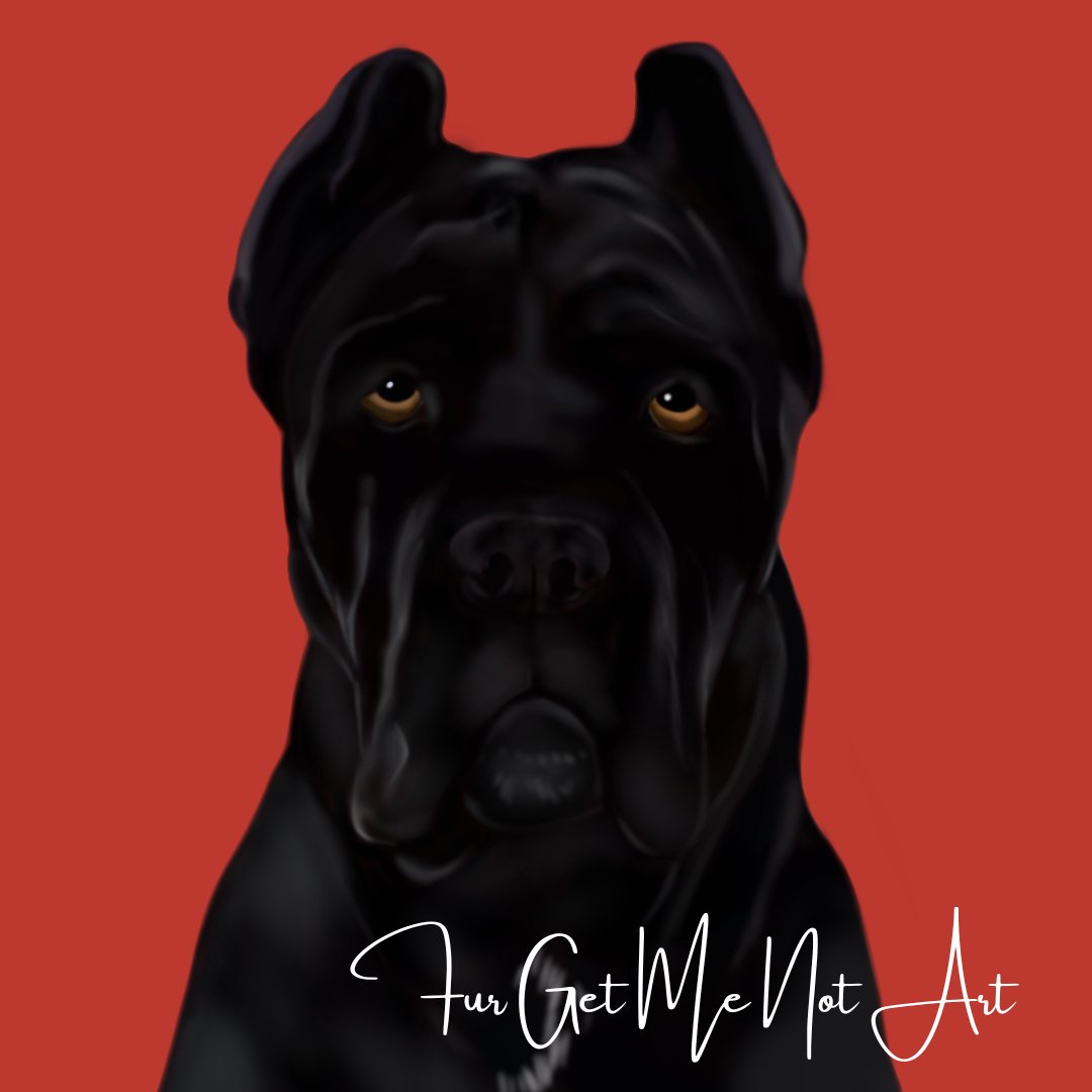 FurGetMeNotArt's tweet photo. Power, loyalty, and heart—Cane Corsos have it all! 🐾💙 This majestic Italian breed is a fearless protector and a gentle giant with its family. Who else is obsessed with these incredible dogs? 🐶 #CaneCorso #DogArt #Furgetmenotart #Petportrait https://t.co/sdgyMtSrra