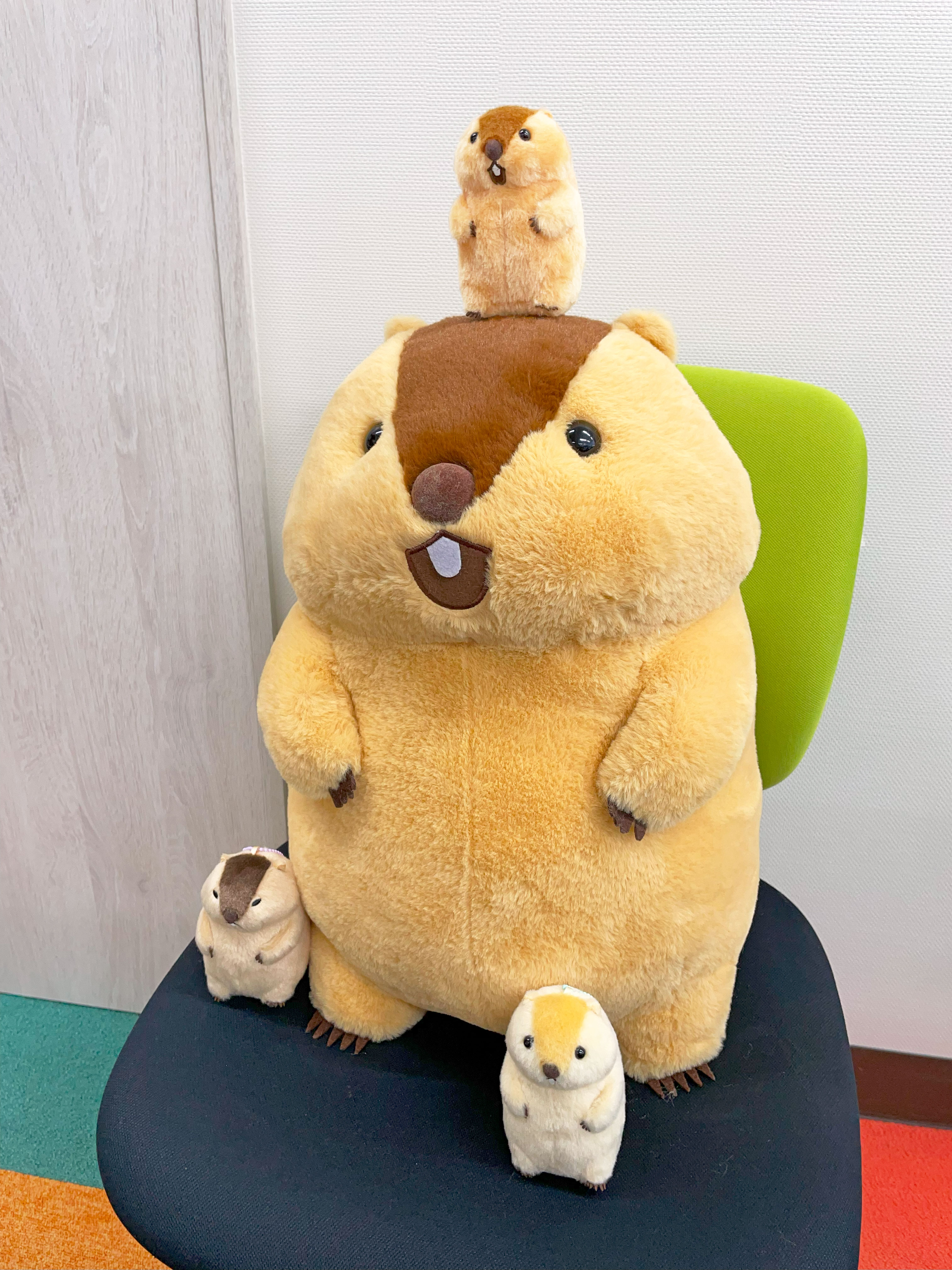 のもっとっと mottoto ウルトラBIG ぬいぐるみ もっともっと
