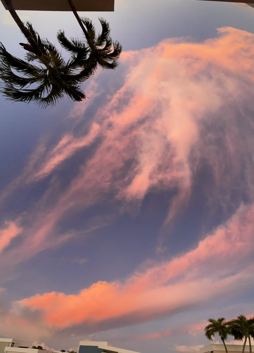 __luisfrancisco's tweet photo. Puerto Rico sunset.

#puertorico #sunset #sky #puertorico🇵🇷 #clouds #skyclouds #photography #sunsetbeach https://t.co/e0rz5Qu2BL