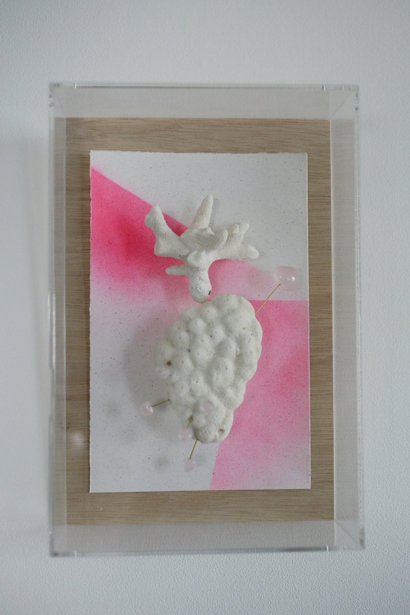 春めいてきた？

moilのアートライン　moil O

ピンクが似合う季節に。