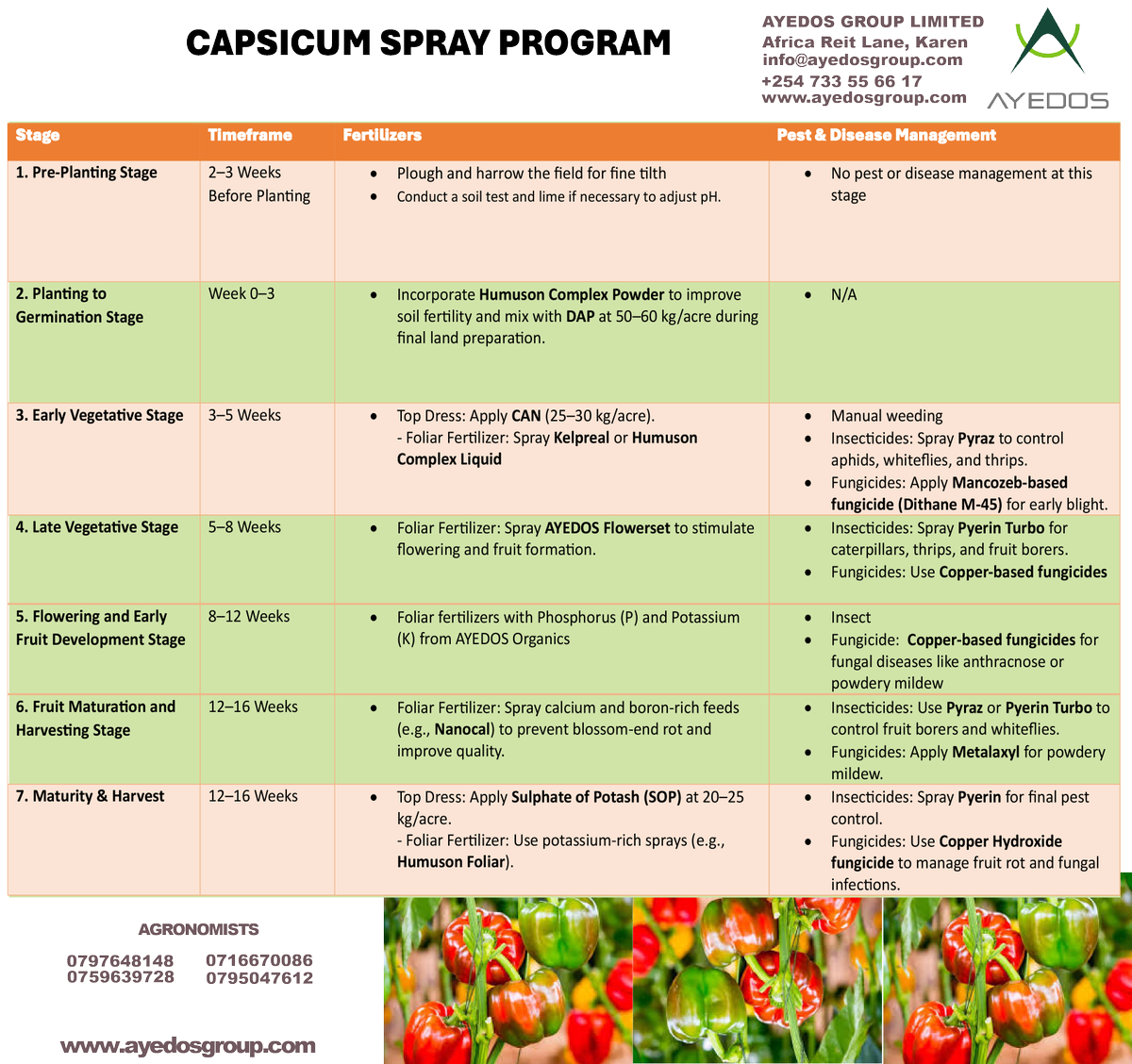 AYEDOSGROUPLTD's tweet photo. From seedling to superstar! 🌱✨ Watch your capsicums flourish with vibrant colors and incredible flavors. Who else loves growing their own veggies? 🌶️💚

 #HomeGarden #capsicumlove #freshproduce
#ayedosgroup #SustainableLiving #groworganic https://t.co/e3VwfjBJTy