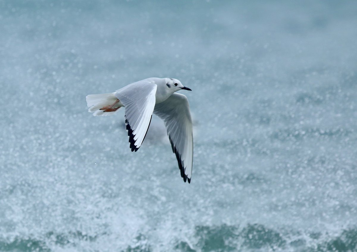 Steven Clinch tweet media