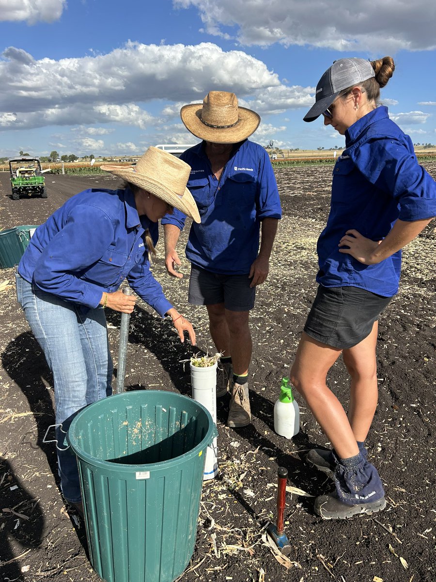 Foundation farm week was fun. But it doesn’t stop on the farm. The team are back at it. Testing whole plant digestibility in corn silage.