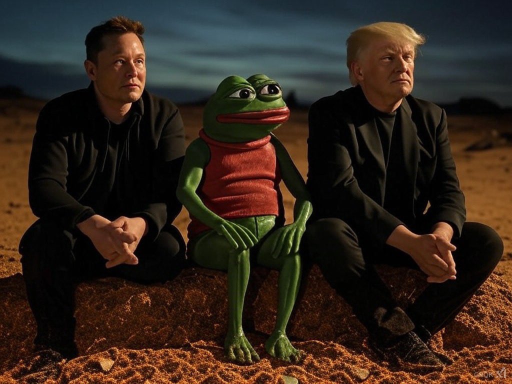 TuTu 🐸 tweet media