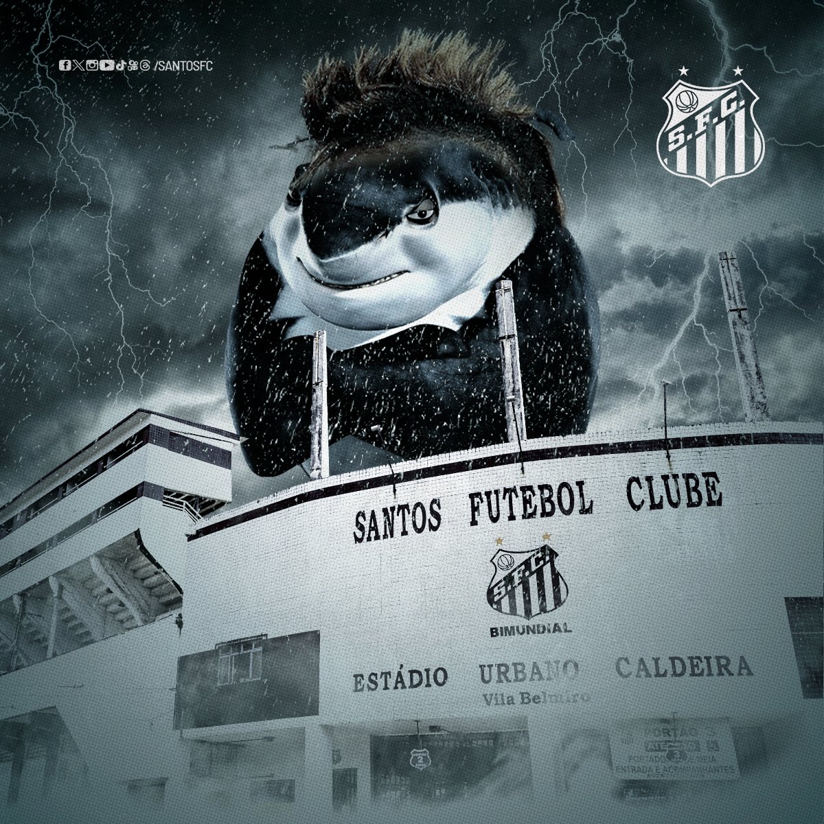 SantosFC's tweet photo. 🦈 Sim. Ele também voltou e de novo visual. ✋😛🤚 https://t.co/7wuxTOZvh7
