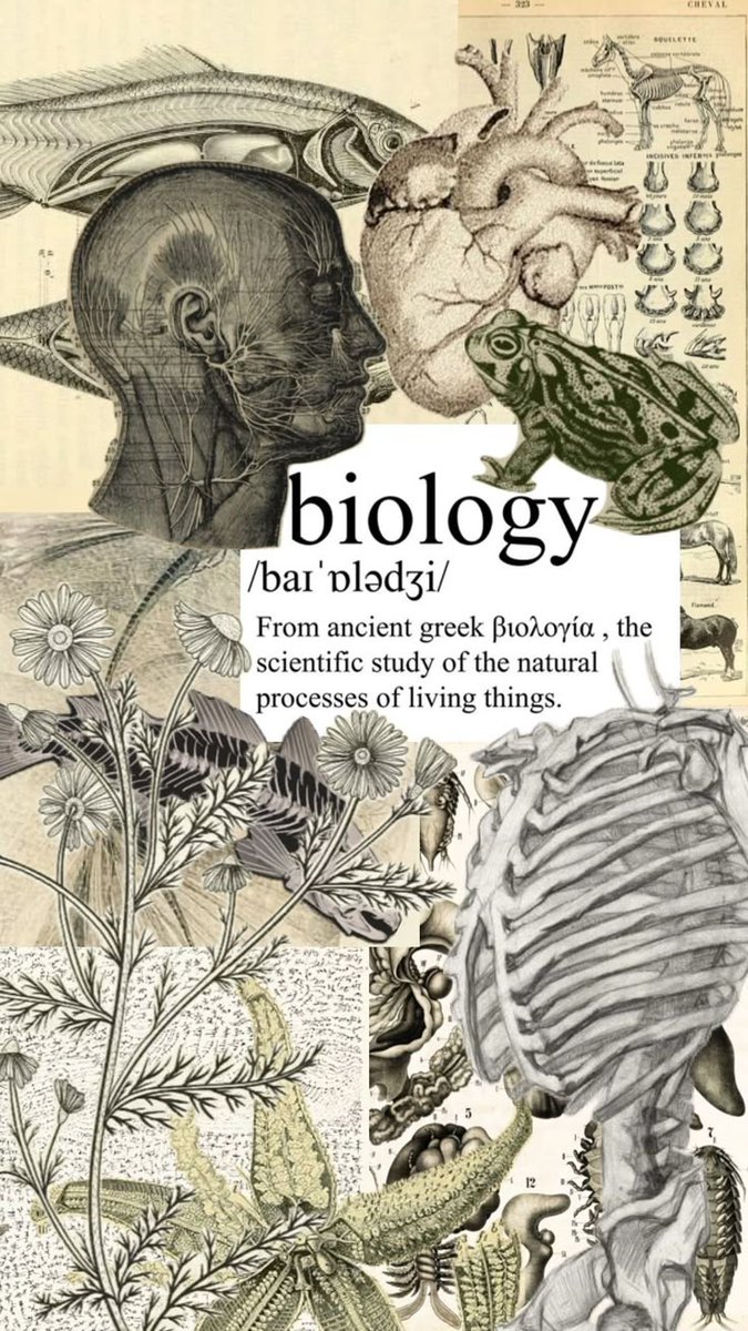 studymmay's tweet photo. ⌕ community : #studytwt  #collegetwt #studytwtbr 
"a biologia é o estudo da vida, é a base"
      ╰► mary 
      ╰► caloura de ciências biológicas, ufscar
      ╰► metas: continuar estudando para o sonho da medicina
      》mitologia, séries, filmes, livros, ciência https://t.co/MXwITJVOuy